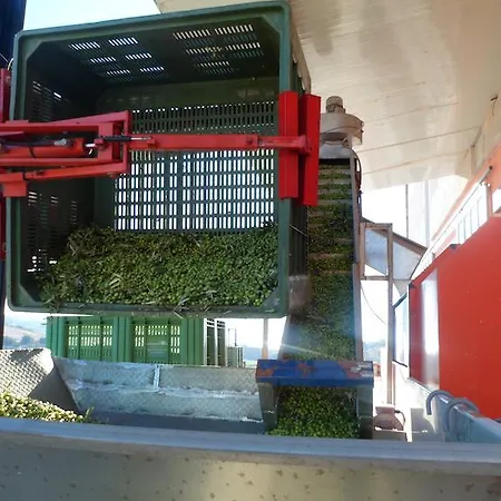 Farm stay La Goccia D'olio