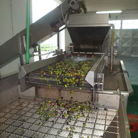 La Goccia D'olio Farm stay